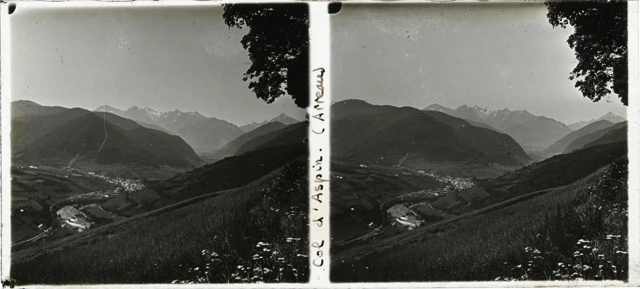 MAG3986.jpg