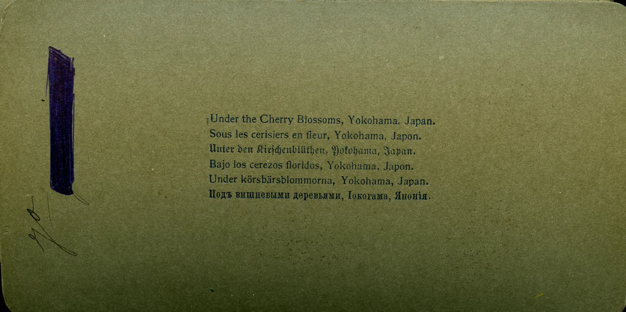 MAG3945.jpg