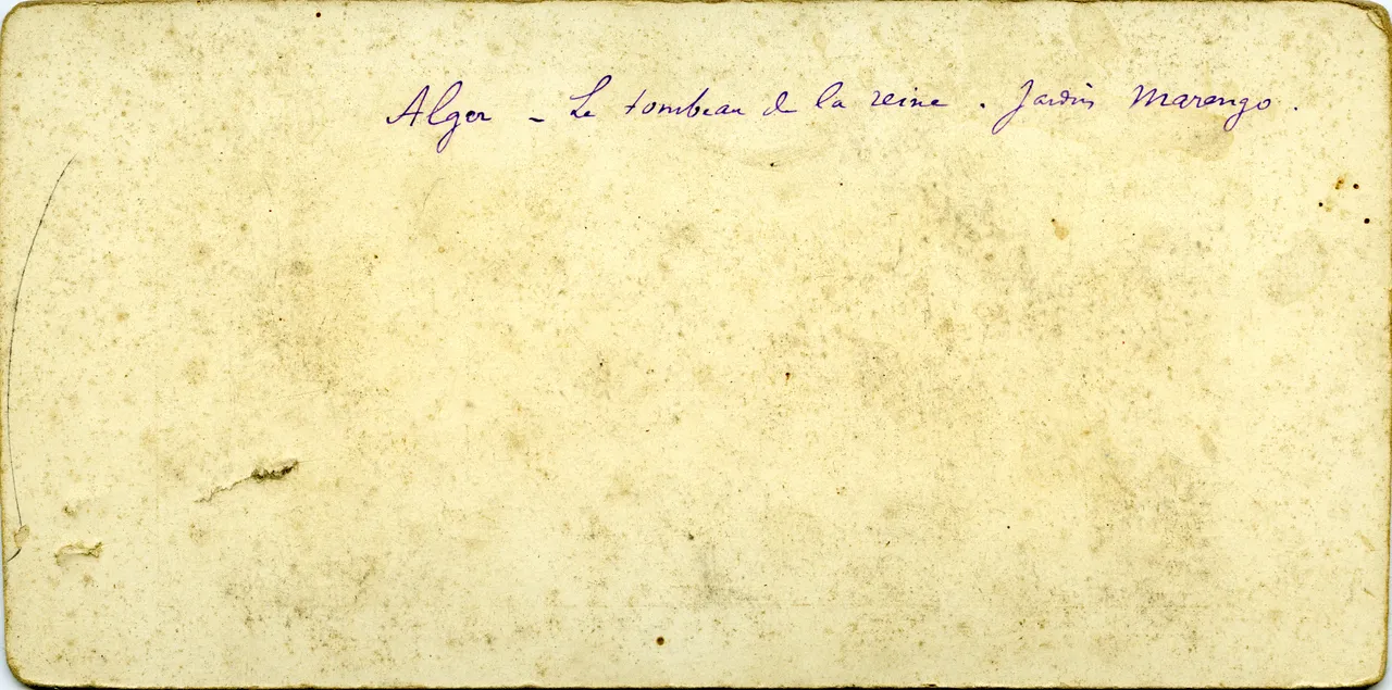 MAG3958.jpg