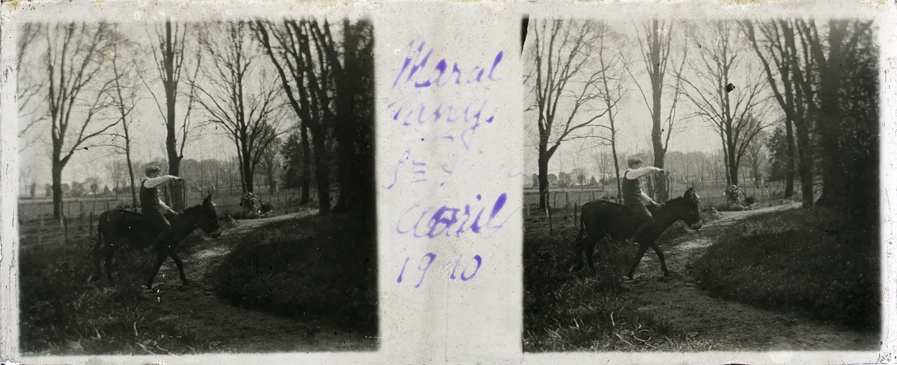 MAG4137.jpg