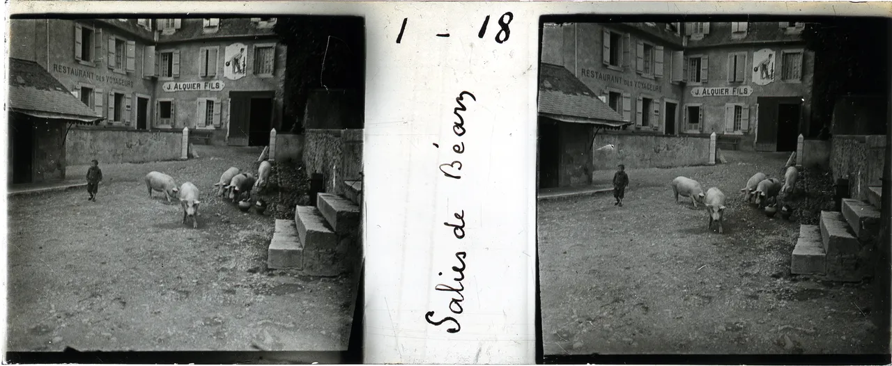 MAG4149.jpg