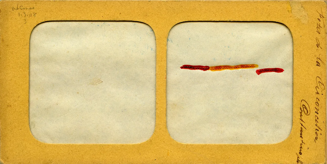 MAG4384.jpg