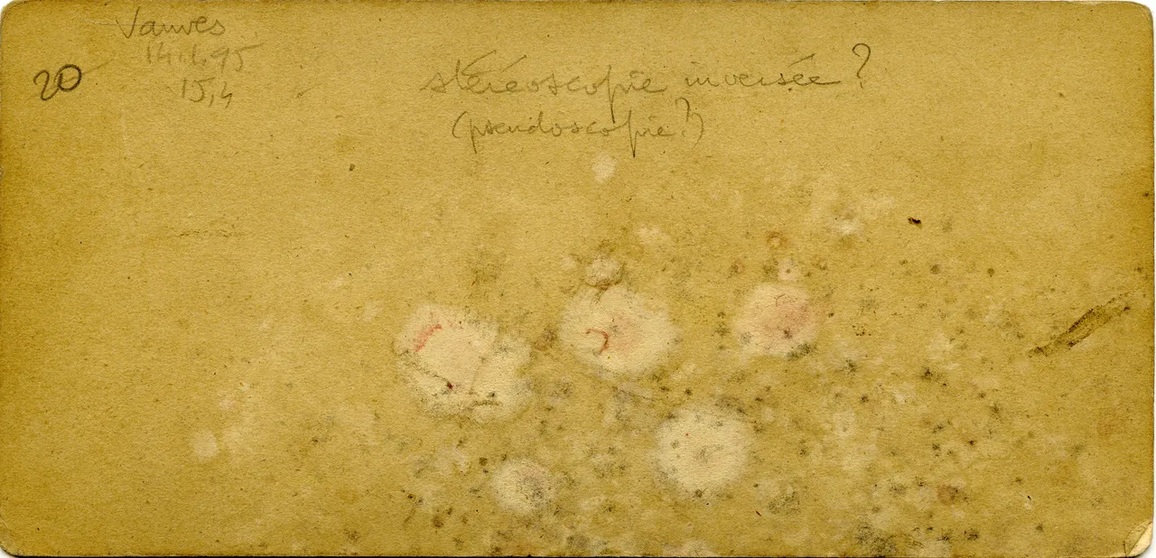MAG4435.jpg