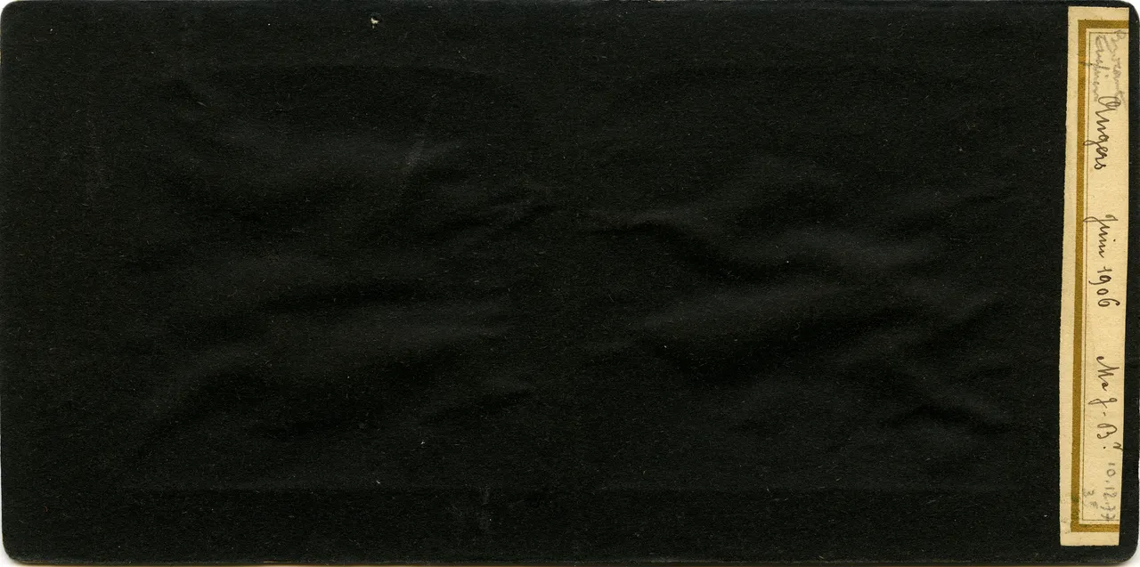 MAG4453.jpg