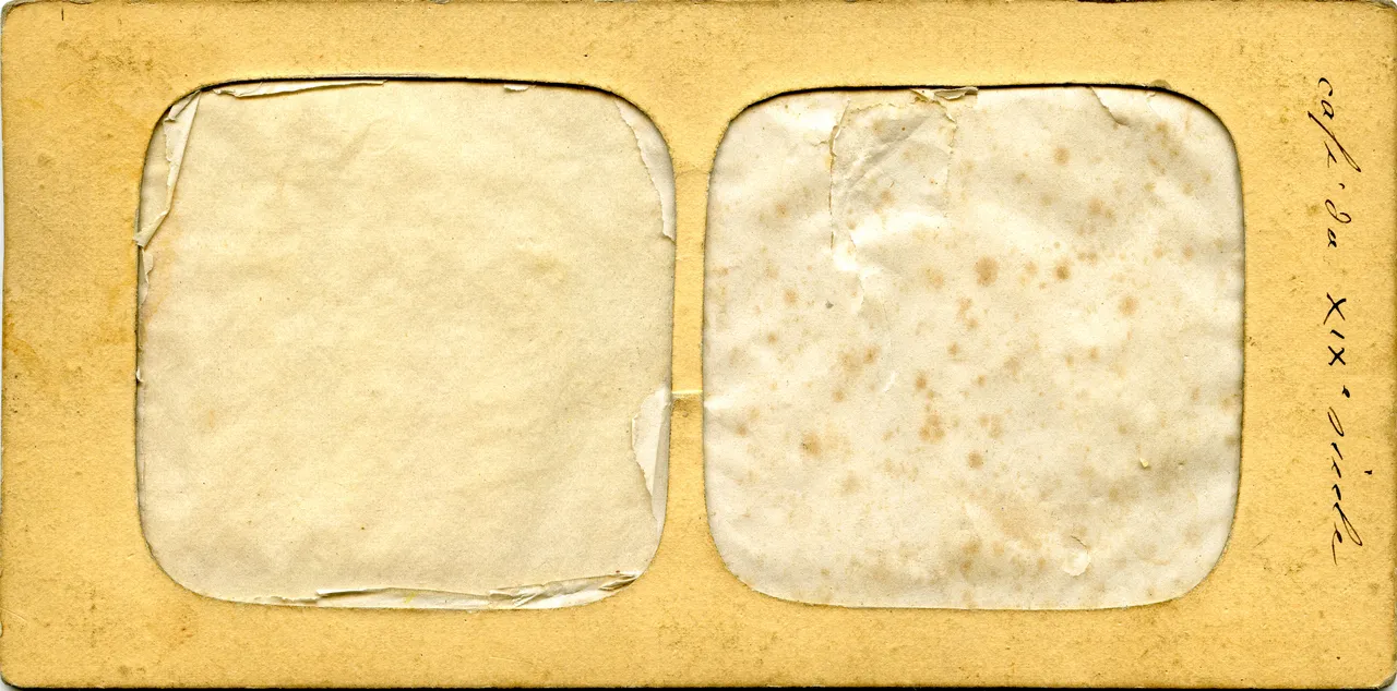 MAG4529.jpg