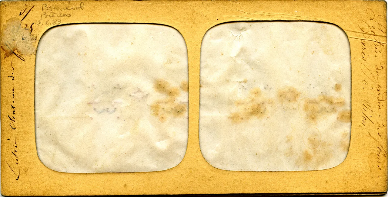 MAG4531.jpg