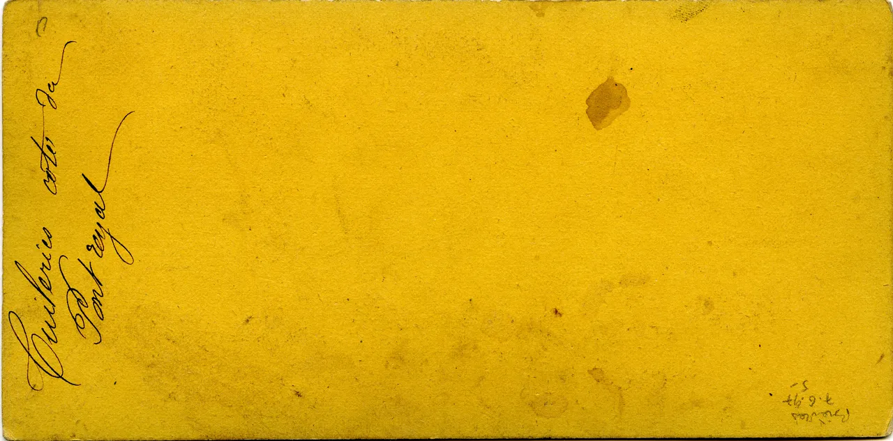MAG4556.jpg