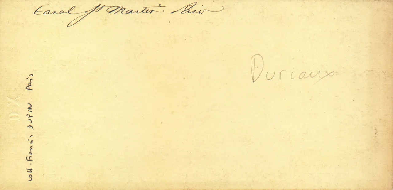 DUP0215.jpg
