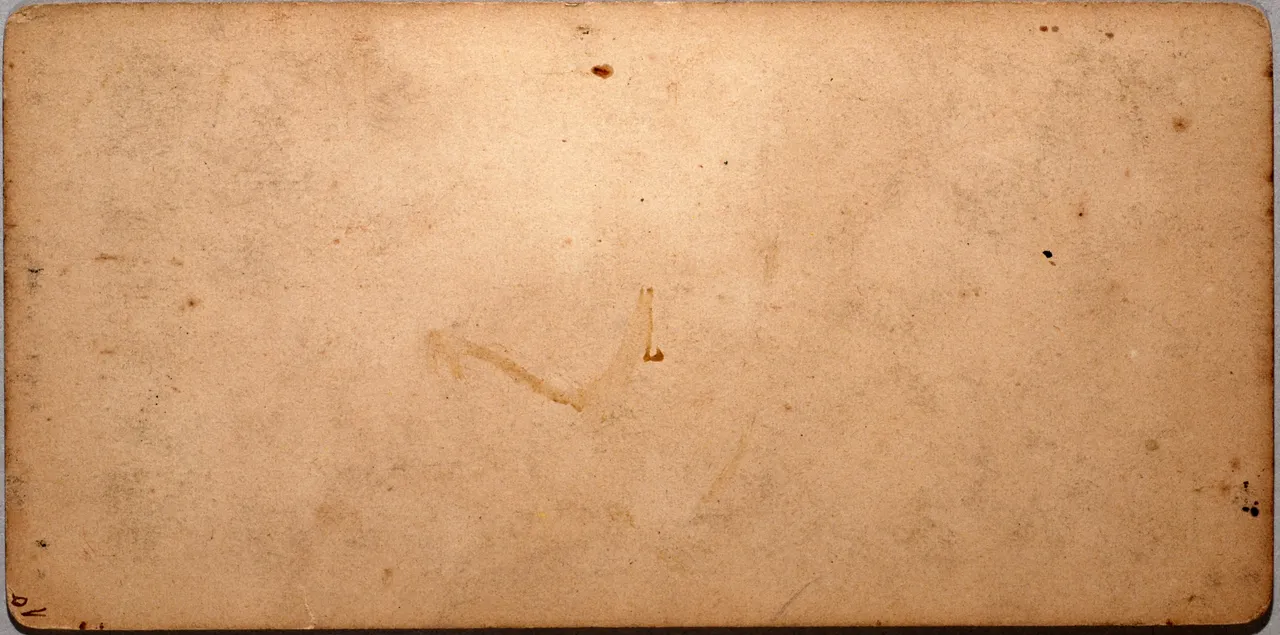 MAG9461.JPG