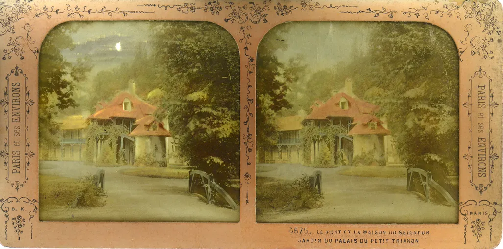 Mag3229.JPG