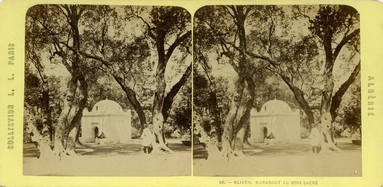 MAG4819.jpg