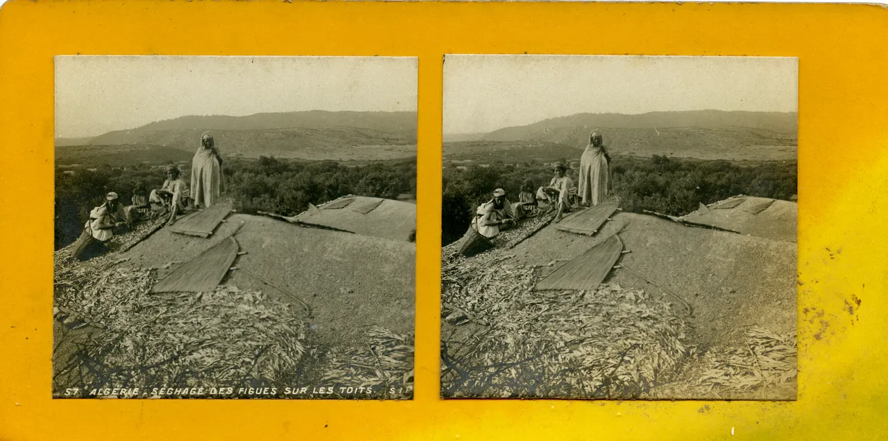 MAG4834.jpg