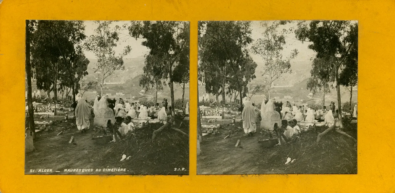 MAG4836.jpg