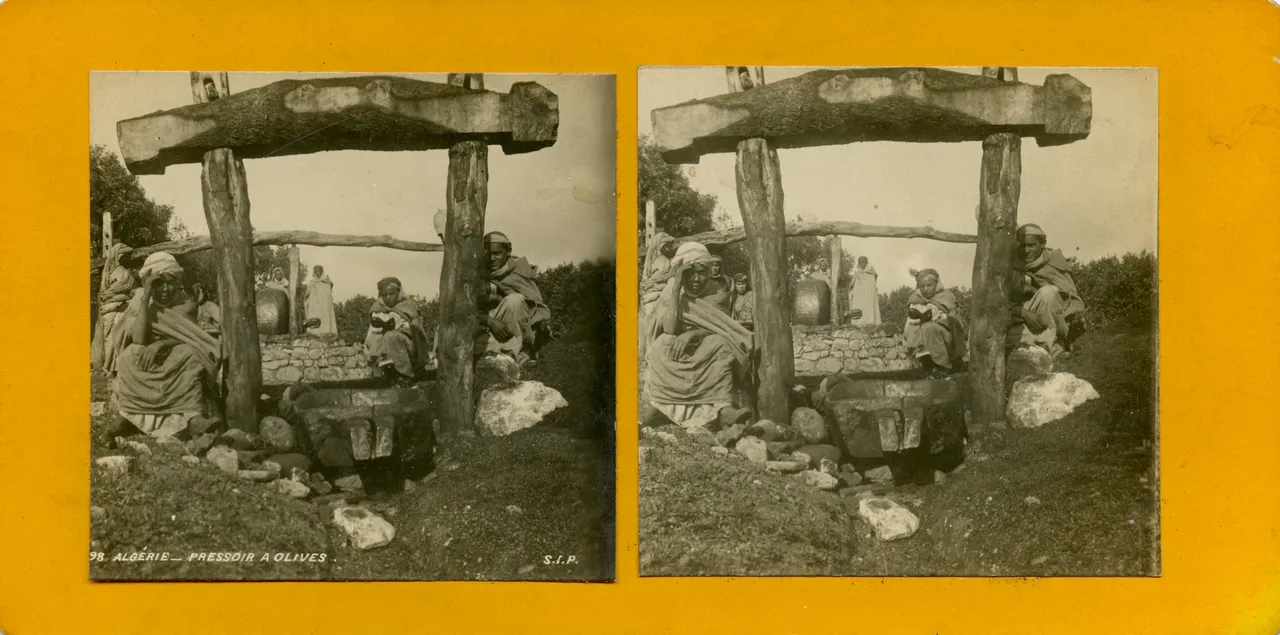 MAG4841.jpg