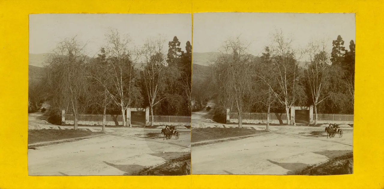 MAG4851.jpg