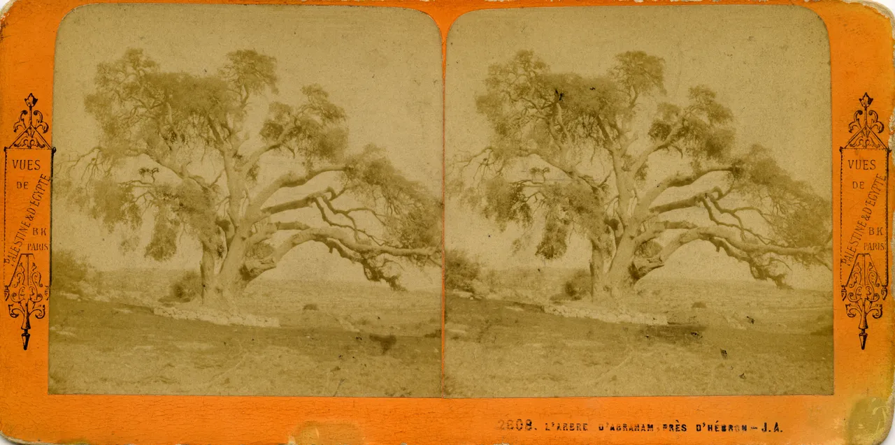 MAG4870.jpg