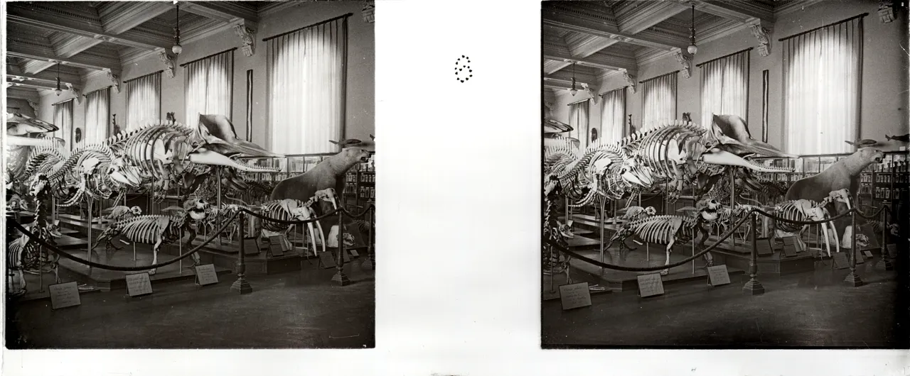 JMH079.jpg
