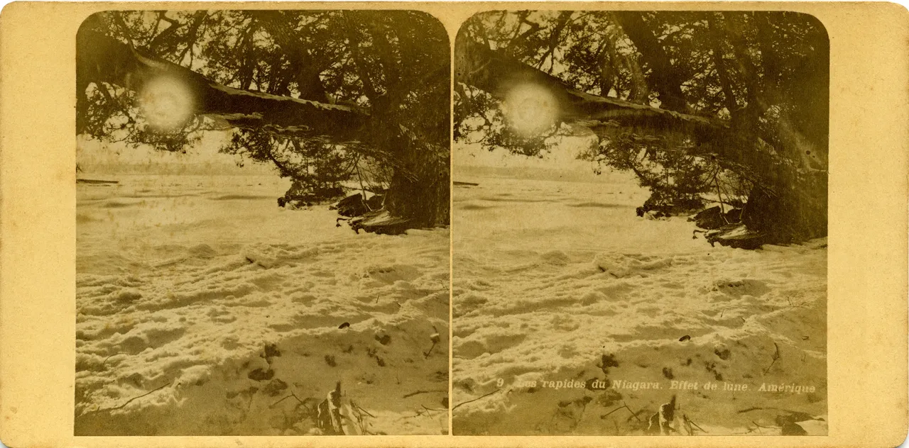 MAG5151.jpg
