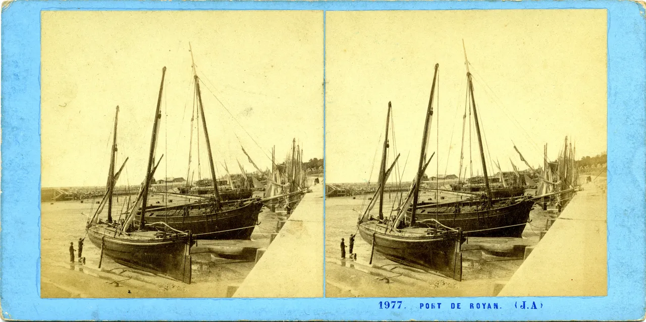 MAG5370.jpg