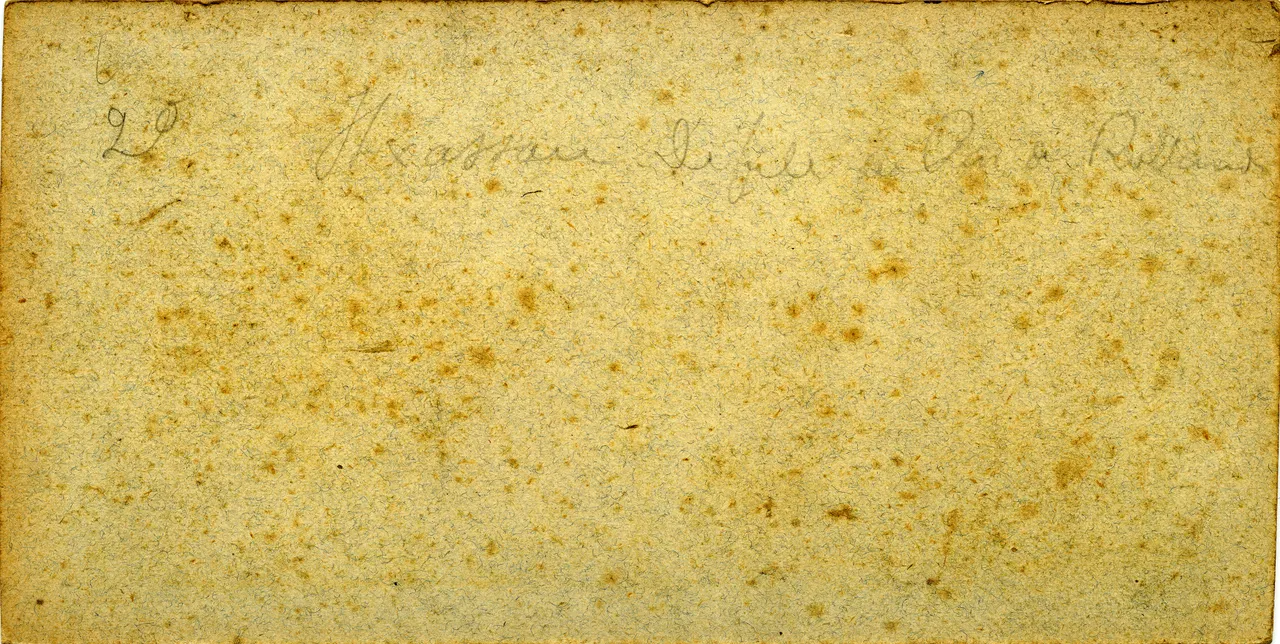 MAG5293.jpg