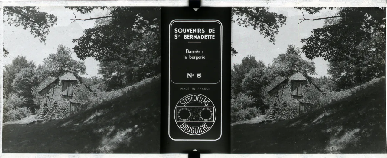 MAG5229.jpg