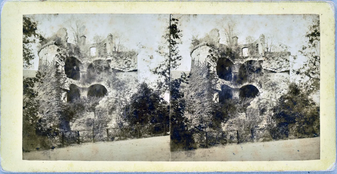 MAG5538.jpg