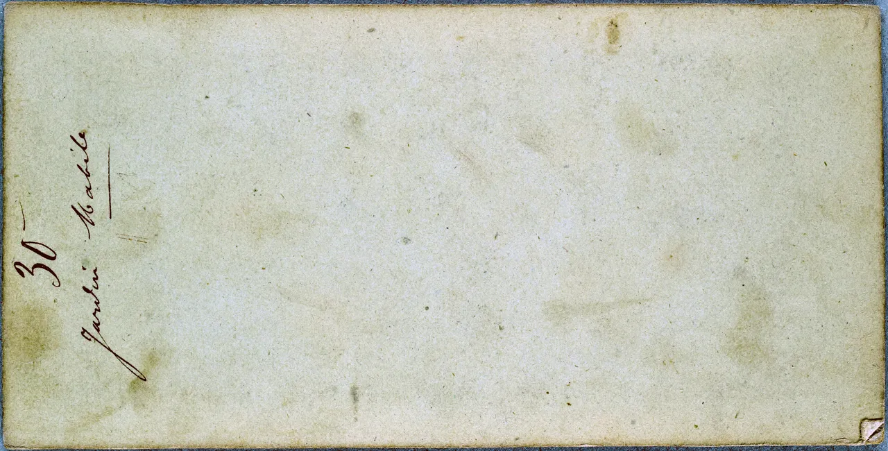 MAG5544.jpg