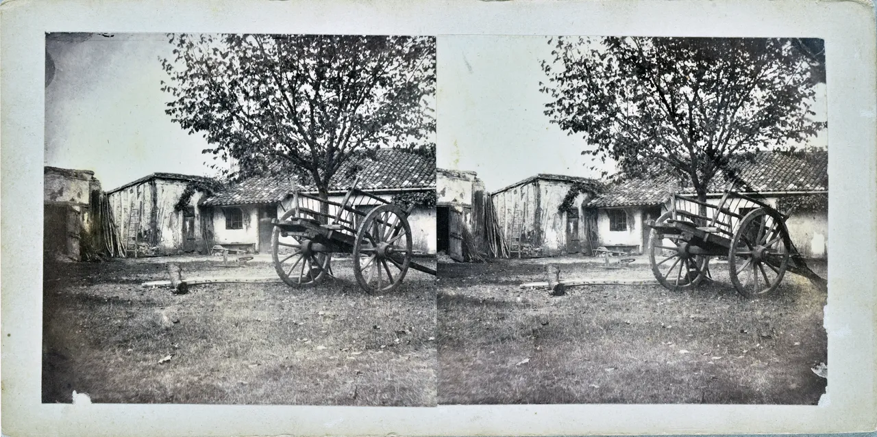 MAG5618.jpg