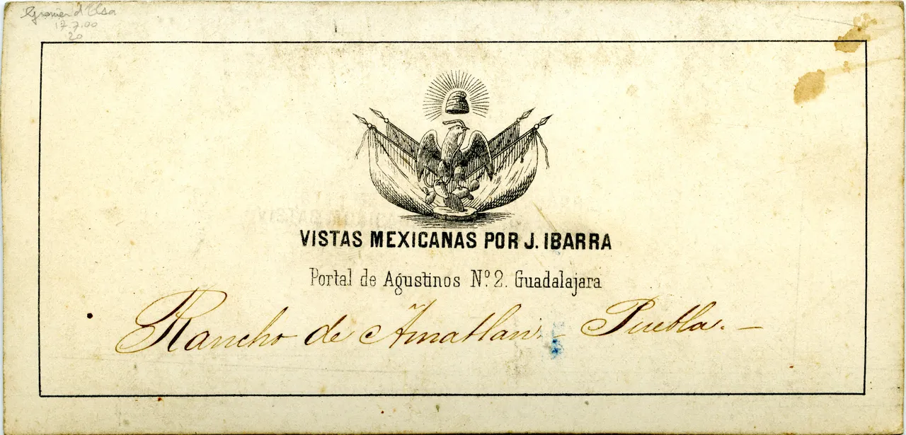 MAG5582.jpg