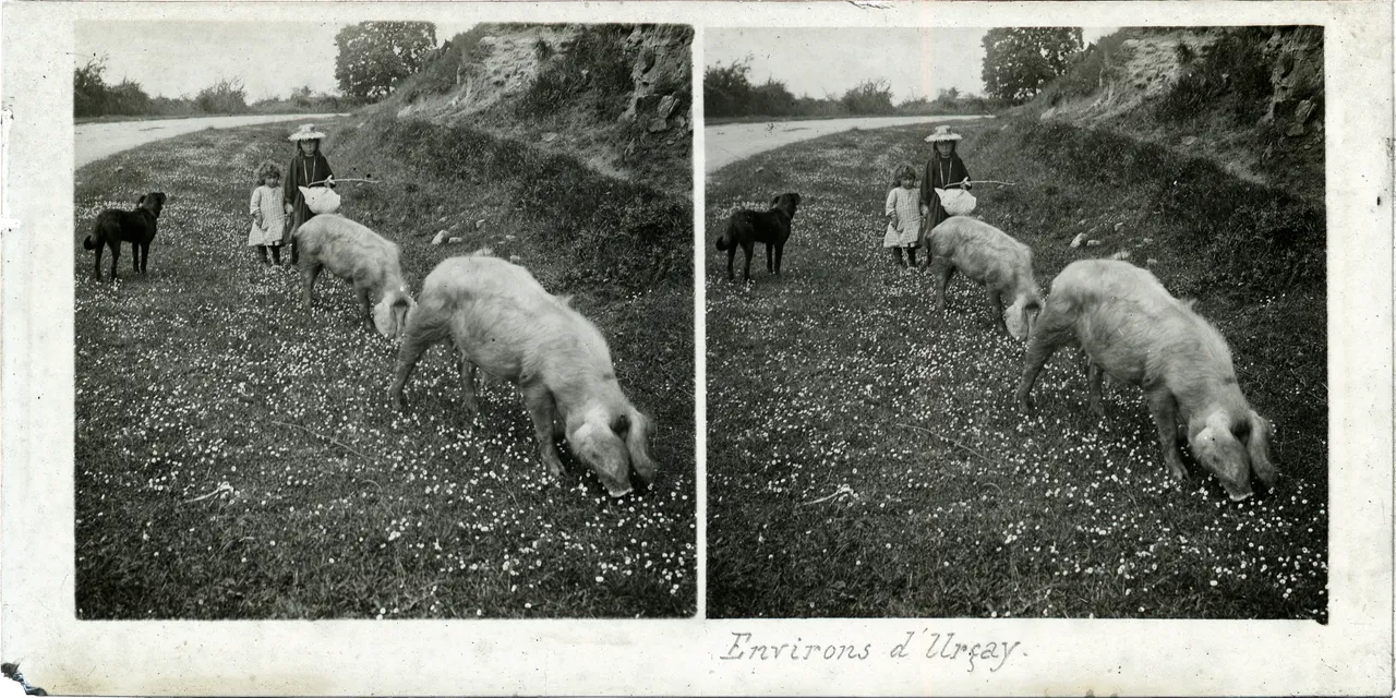 MAG5422.jpg