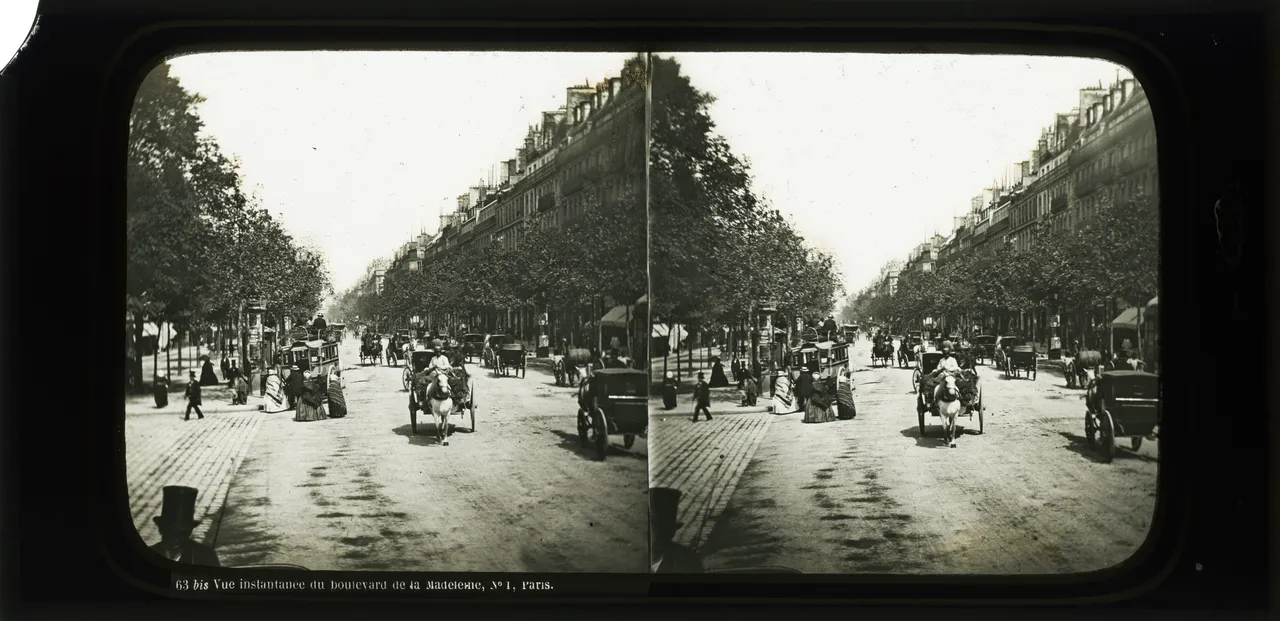 CAL0483.jpg