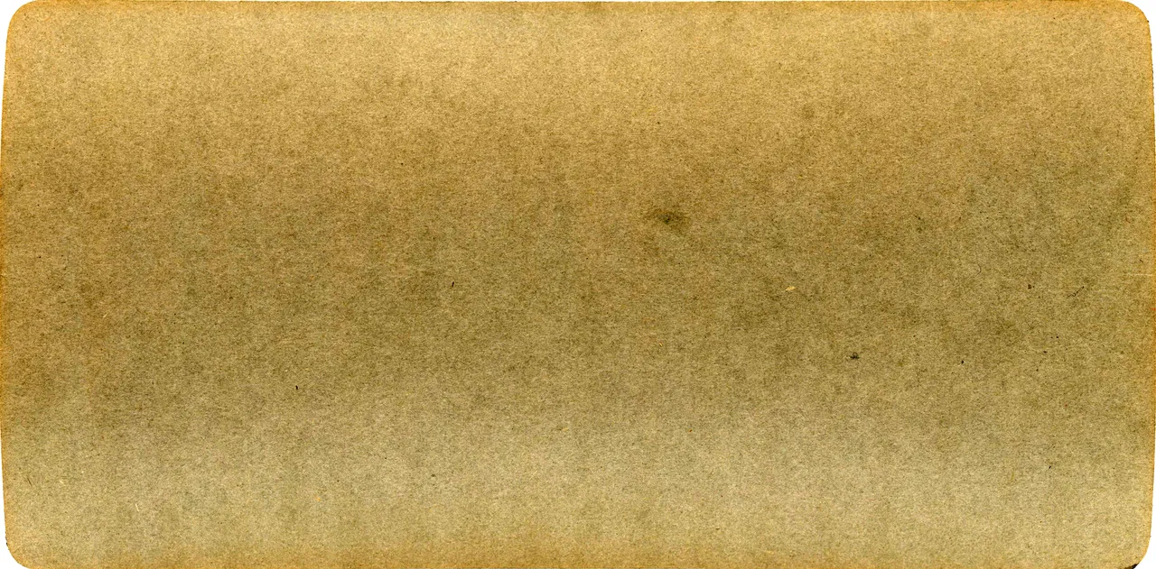 LM151.jpg