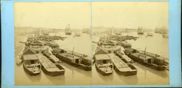 p003.jpg