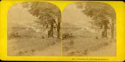 p011.jpg