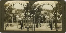 white_2102.jpg