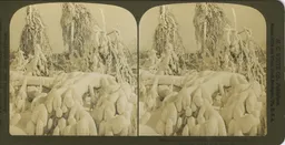 white_354.jpg