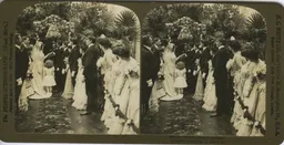 white_5514.jpg