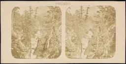 MIDR_PHA_152_0019.JPG