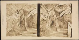 MIDR_PHA_152_0020.JPG