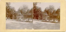 CG024.jpg