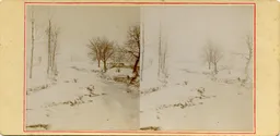 CG032.jpg