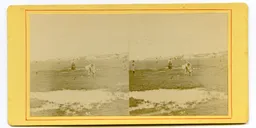 CG060.jpg