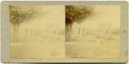 CG095.jpg
