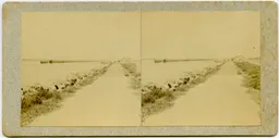 CG100.jpg