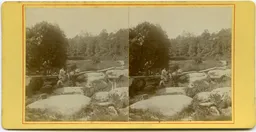 CG109.jpg