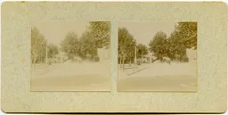 CG116.jpg