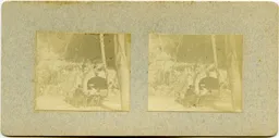 CG123.jpg
