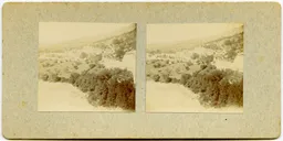 CG198.jpg