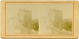 CG229.jpg