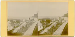 CG238.jpg